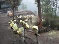 2007 07 16 BALI 0005